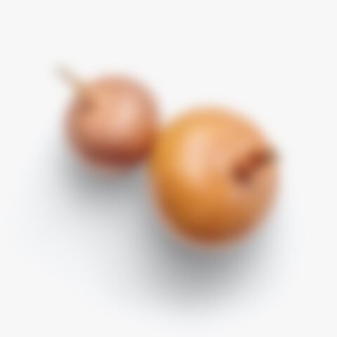 Onion bulbs